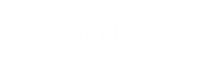rostelecom-psr-logo